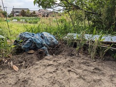 PXL_20230423_055315420