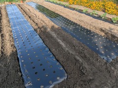 PXL_20251107_002314547