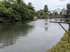 PXL_20230807_044645562