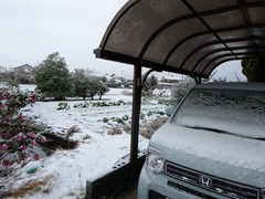 PXL_20260120_221252811.MP