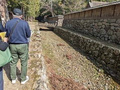 PXL_20230311_011648045