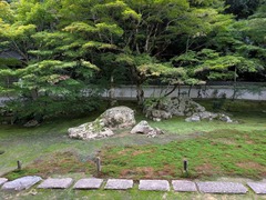 PXL_20251018_033124502