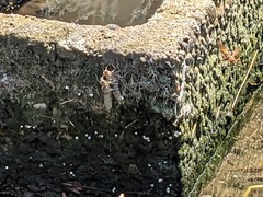 PXL_20240414_040343292.PORTRAIT