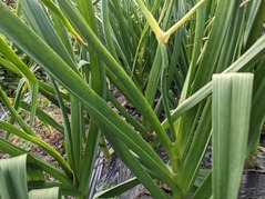 PXL_20220506_075635939