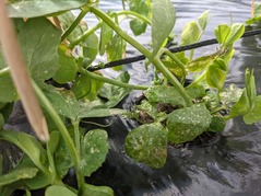 PXL_20220211_025323014