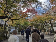 PXL_20241118_013329832