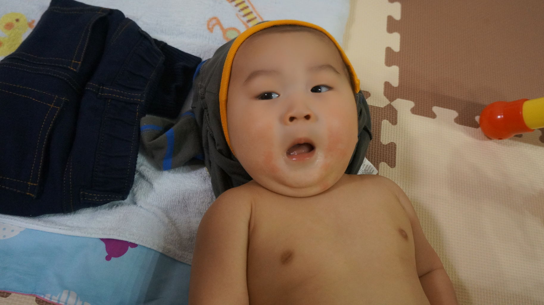 生後7ヶ月 宗達通信