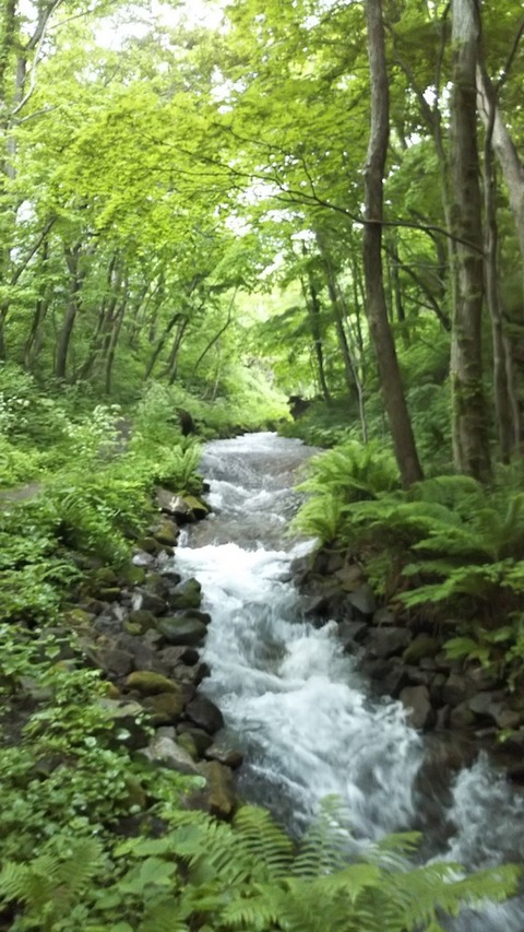 壮瞥川