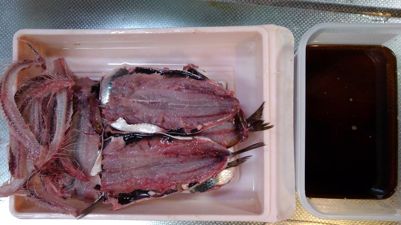 料理 イワシで 塩焼き 天ぷら 折おりの記