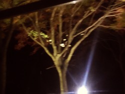トロッコ13
