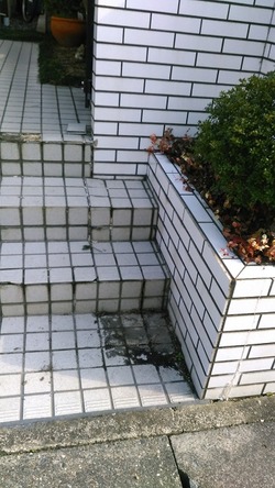 KIMG0914