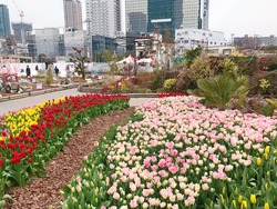 exif_temp_image (12)