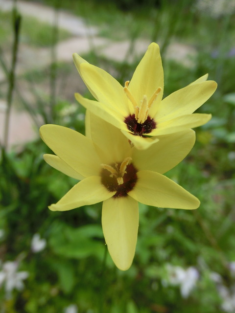 CIMG0463