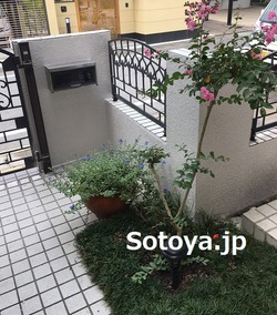 S__7233542