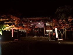 紅葉3