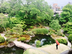 IMG_2818
