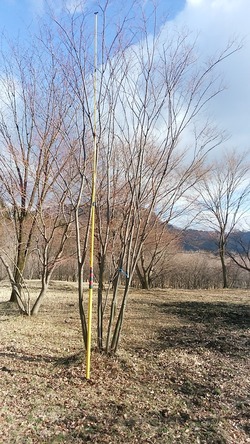 DSC_0406