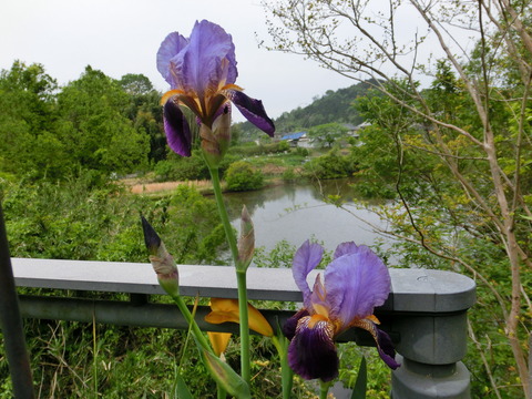 CIMG0407