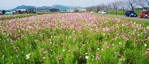 DSC04846