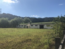 IMG_3351
