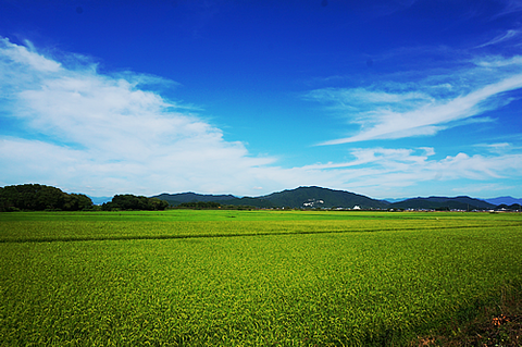 DSC03919