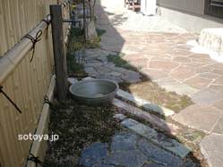 DSCN8079
