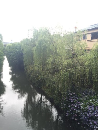 京都２