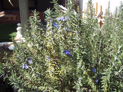 P3290551