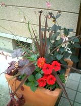 1feda51b.jpg