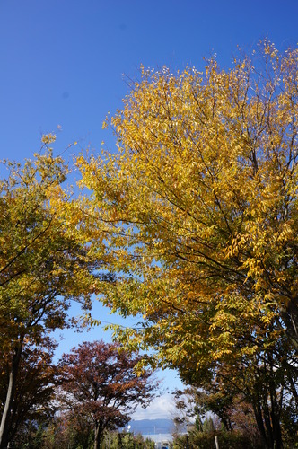 DSC00945