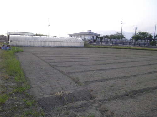 IMGP2888
