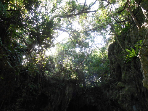 DSCN0403