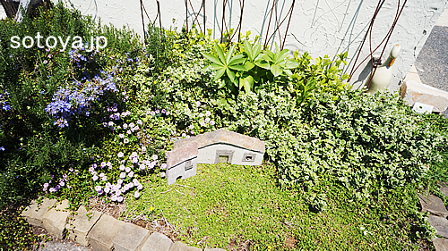 DSC01961
