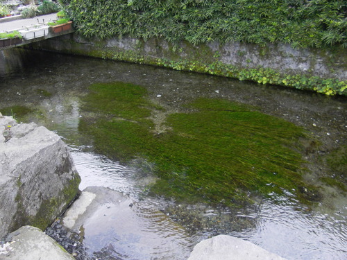 IMGP9484
