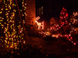 40d59f96.jpg