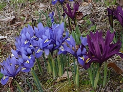 P1000727