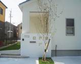 4767e614.jpg