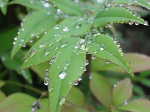 DSC03261