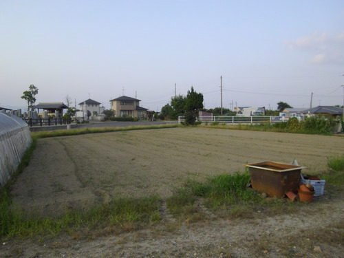 IMGP2885