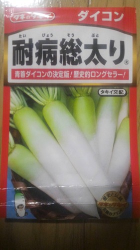 だいこん