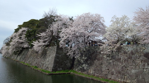 IMG_20120415_141955