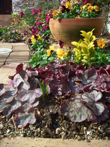 579f1c85.jpg
