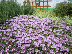 DSCN0013