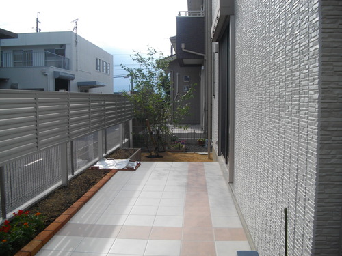 IMGP9456