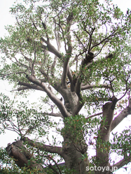 P7210074