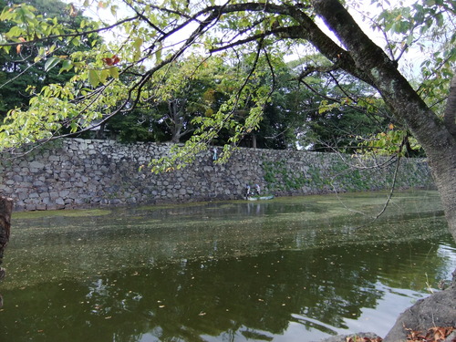 DSCF1794