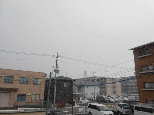 DSCN3138
