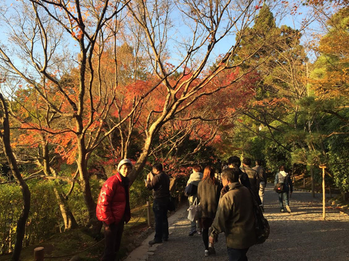 嵐山６