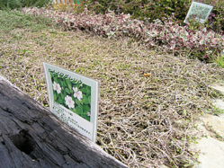 P3250010
