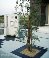 714cca82.jpg